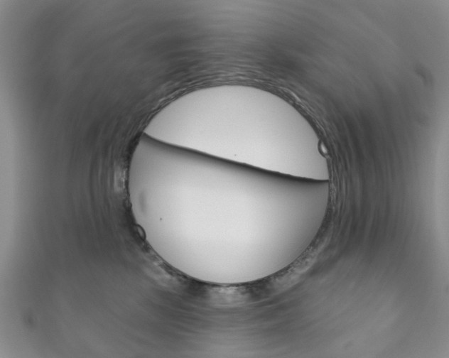 X0000111200281200907011036