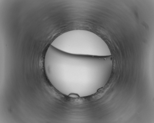 X0000111200282200907011036