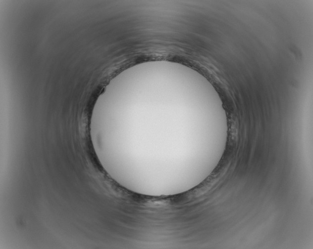 X0000111200283200907011036