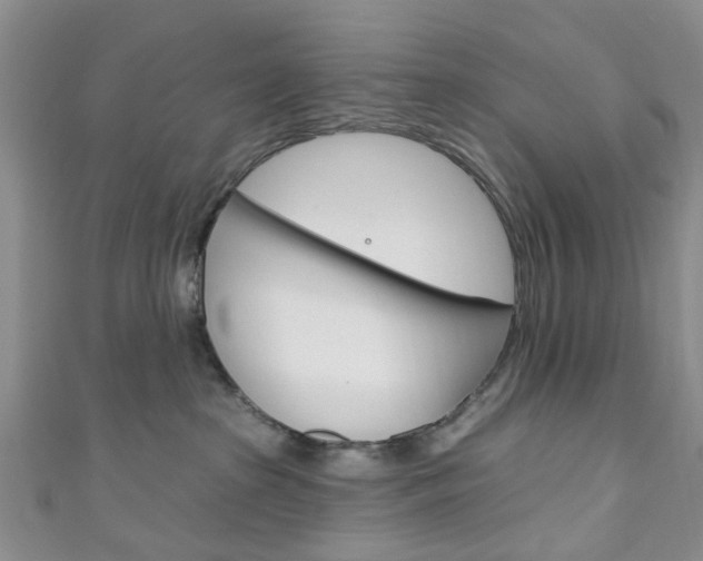 X0000111200285200907011036