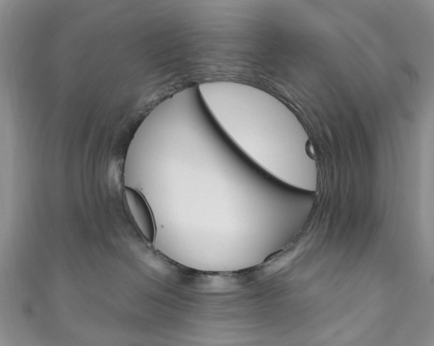 X0000111200286200907011036