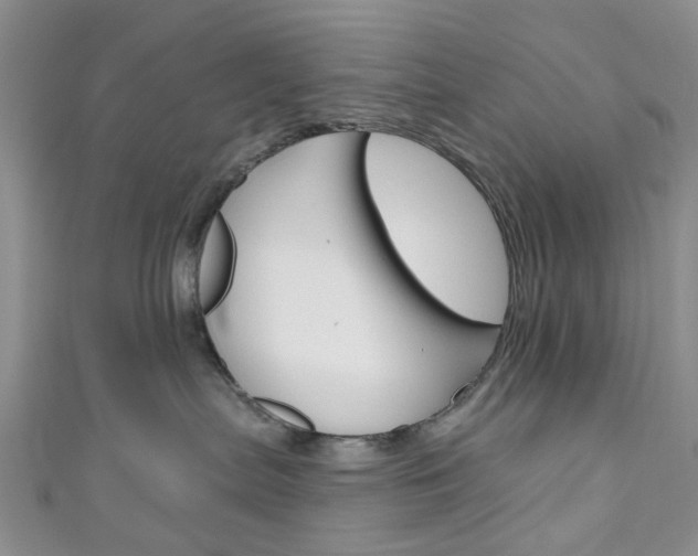 X0000111200287200907011036