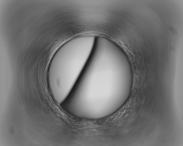 X0000111200289200907011035