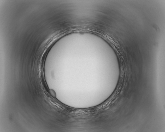 X0000111200290200907011035
