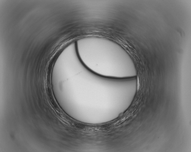 X0000111200291200907011035
