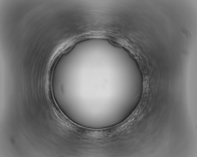 X0000111200293200907011035