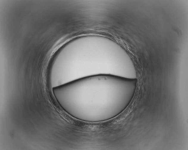 X0000111200295200907011035