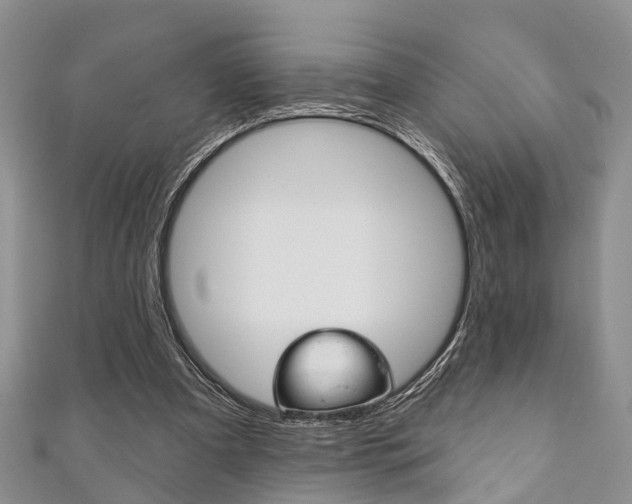 X0000111200297200907011035
