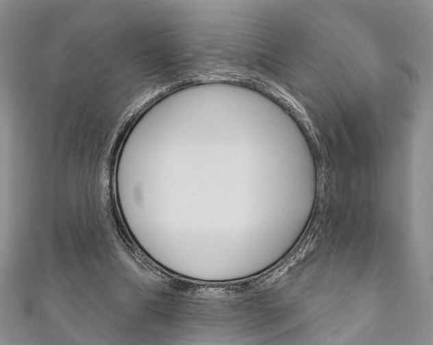 X0000111200298200907011035