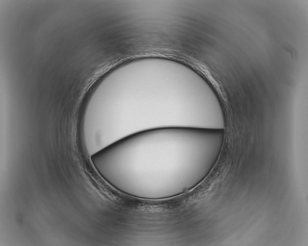 X0000111200299200907011035