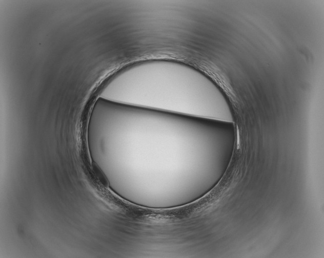 X0000111200300200907011035