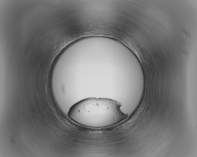 X0000111200301200907011035