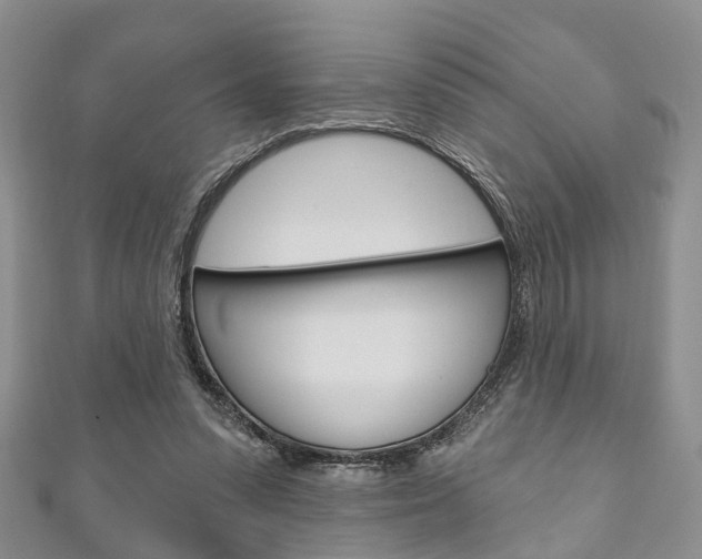 X0000111200303200907011035