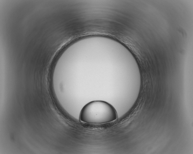 X0000111200304200907011035