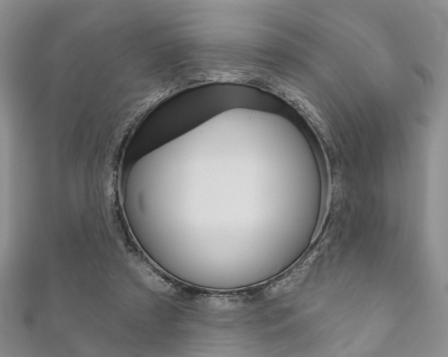 X0000111200305200907011035