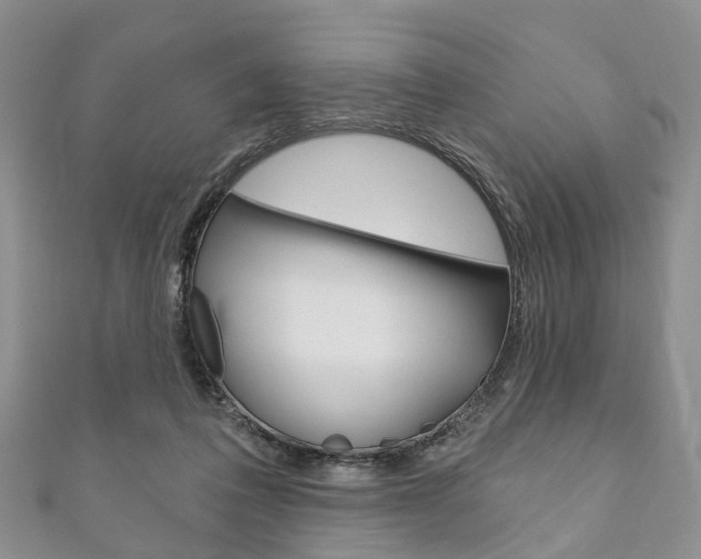 X0000111200308200907011035