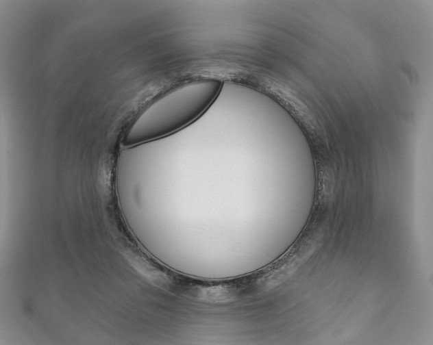 X0000111200309200907011035