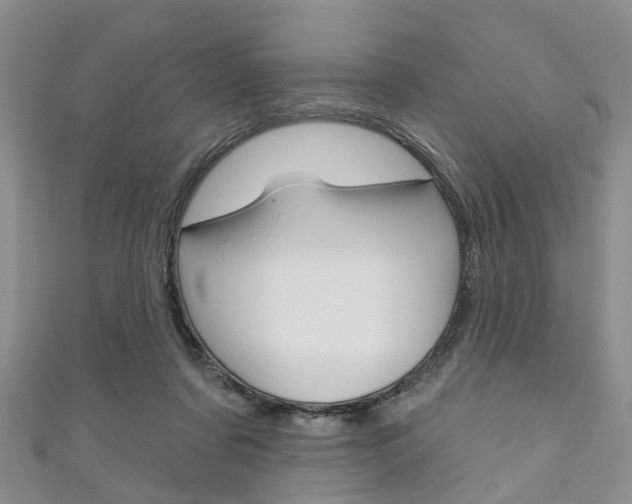 X0000111200311200907011035