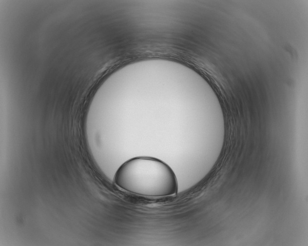 X0000111200312200907011035