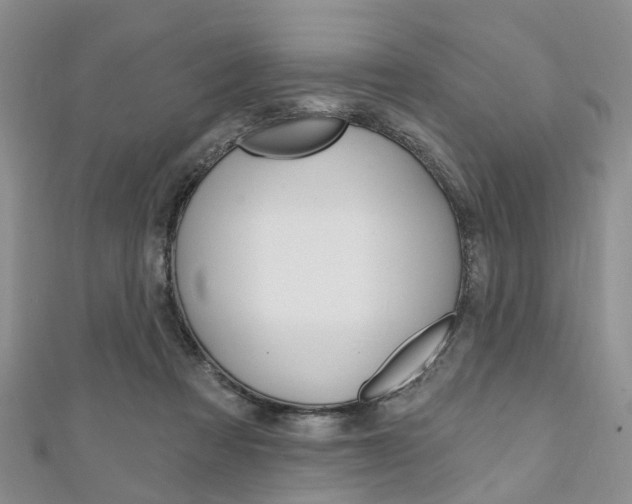 X0000111200313200907011035
