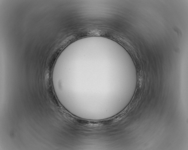 X0000111200314200907011035