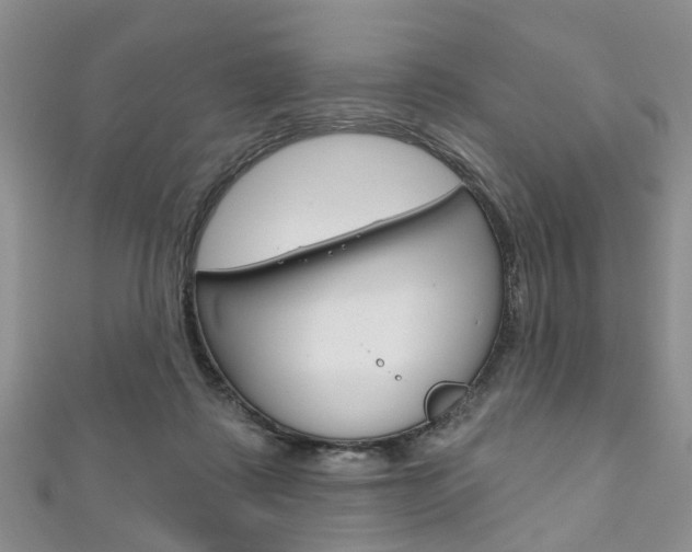X0000111200315200907011035