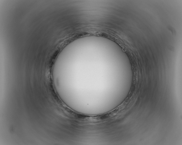 X0000111200320200907011035
