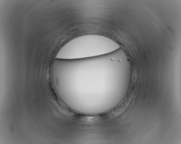 X0000111200323200907011035