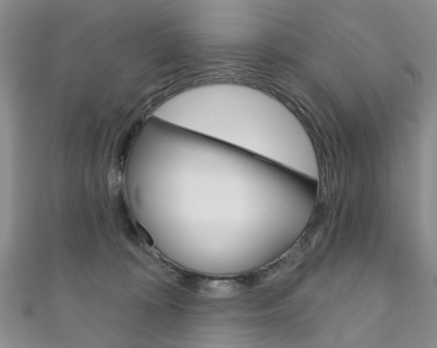 X0000111200324200907011035