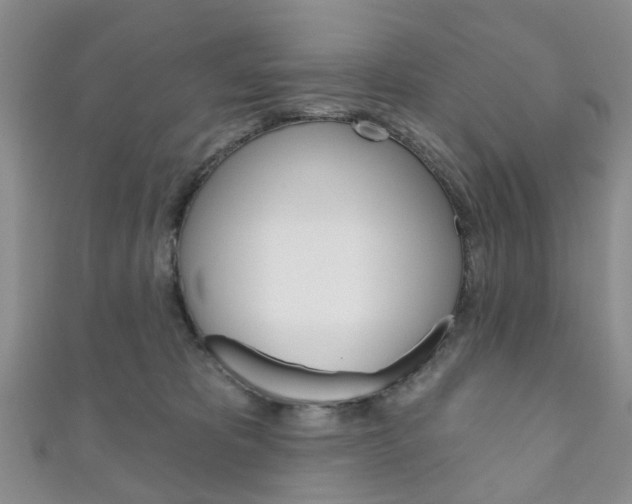 X0000111200325200907011035