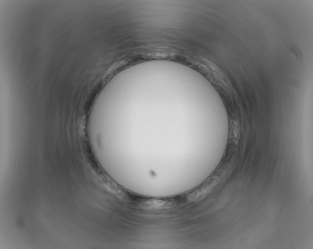 X0000111200326200907011035