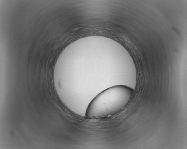 X0000111200327200907011035