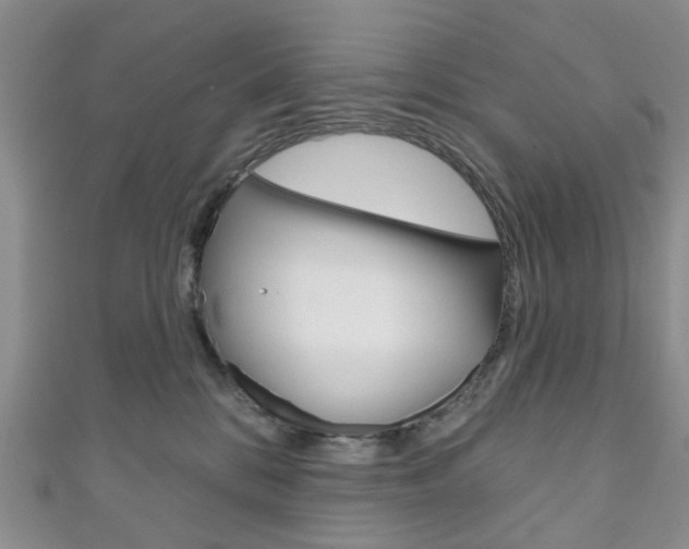 X0000111200328200907011035