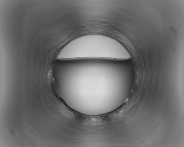 X0000111200329200907011035