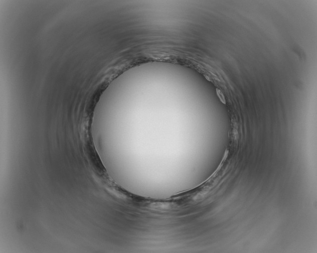 X0000111200332200907011035