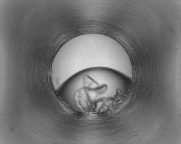 X0000111200333200907011035