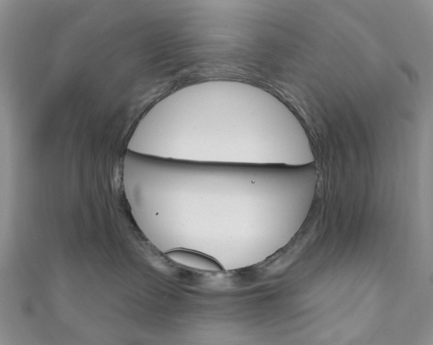 X0000111200335200907011035