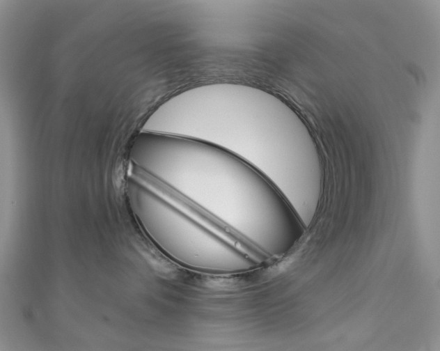 X0000111200336200907011035