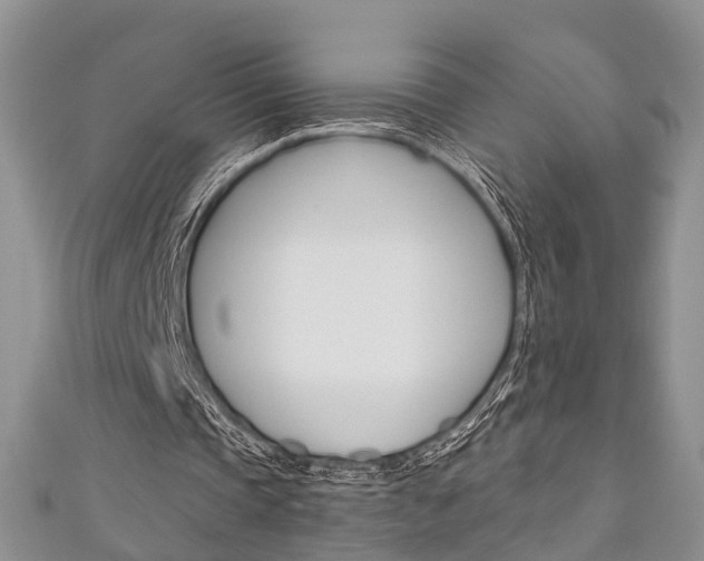 X0000111200337200907011034