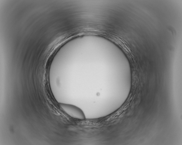 X0000111200338200907011034
