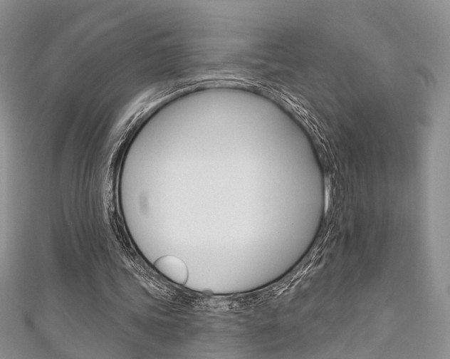X0000111200339200907011034