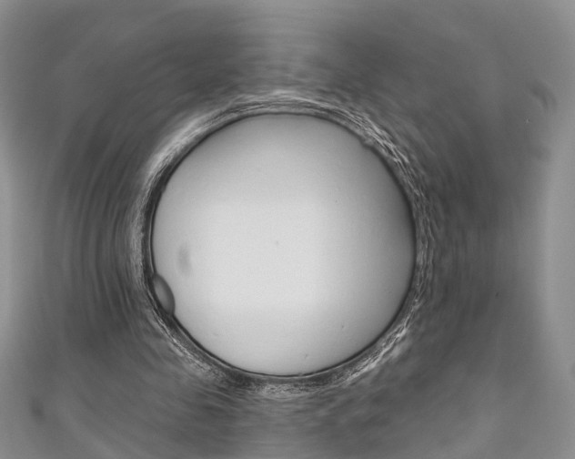 X0000111200341200907011034