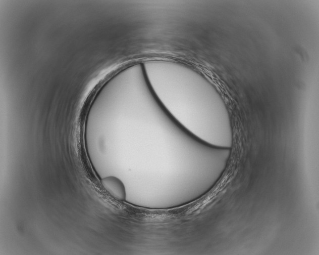 X0000111200342200907011034