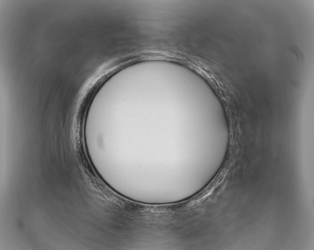 X0000111200343200907011034