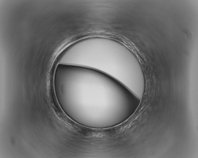 X0000111200344200907011034