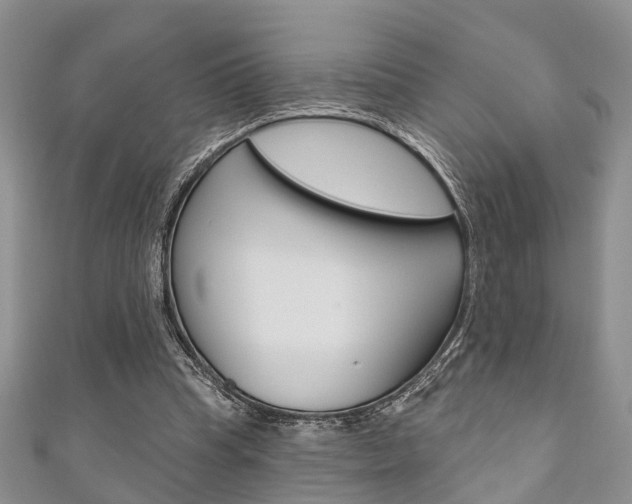 X0000111200345200907011034