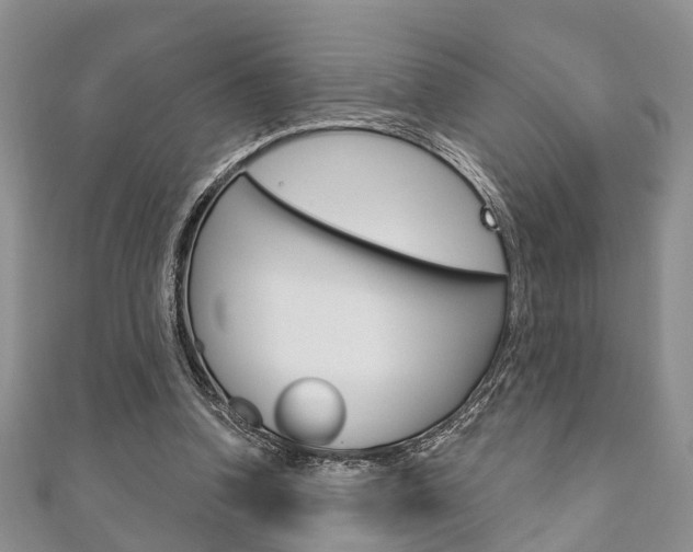 X0000111200346200907011034