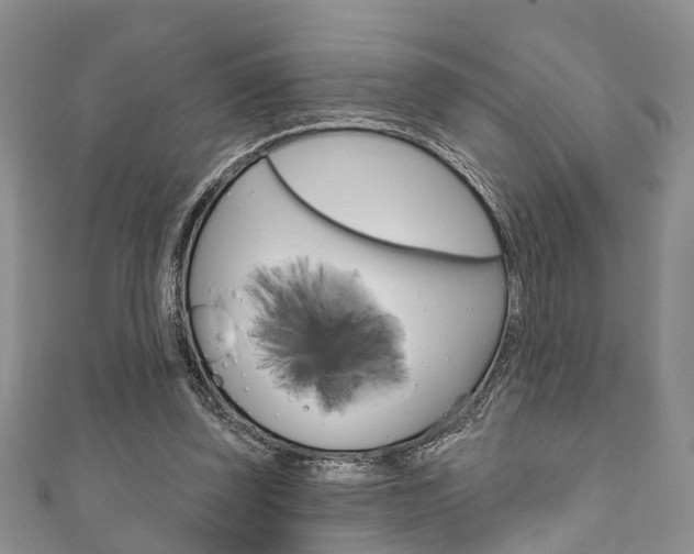 X0000111200347200907011034
