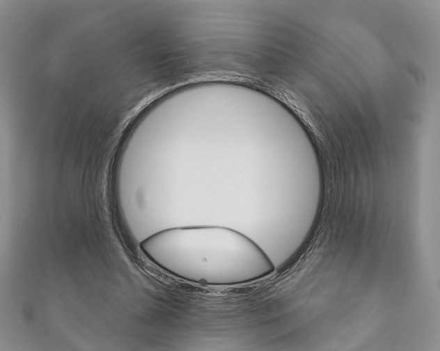 X0000111200348200907011034