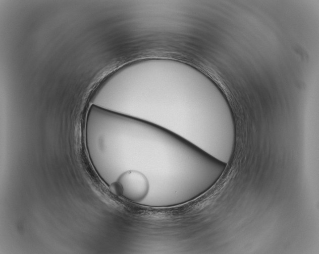 X0000111200349200907011034